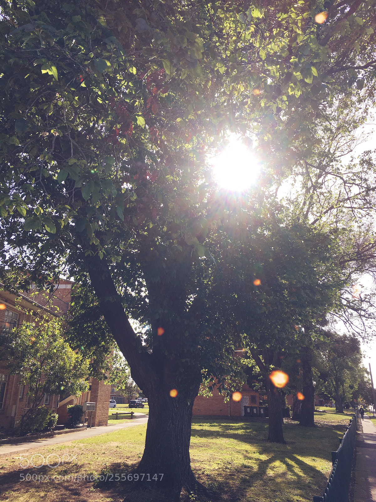 Apple iPhone 6s sample photo. Untitled photography