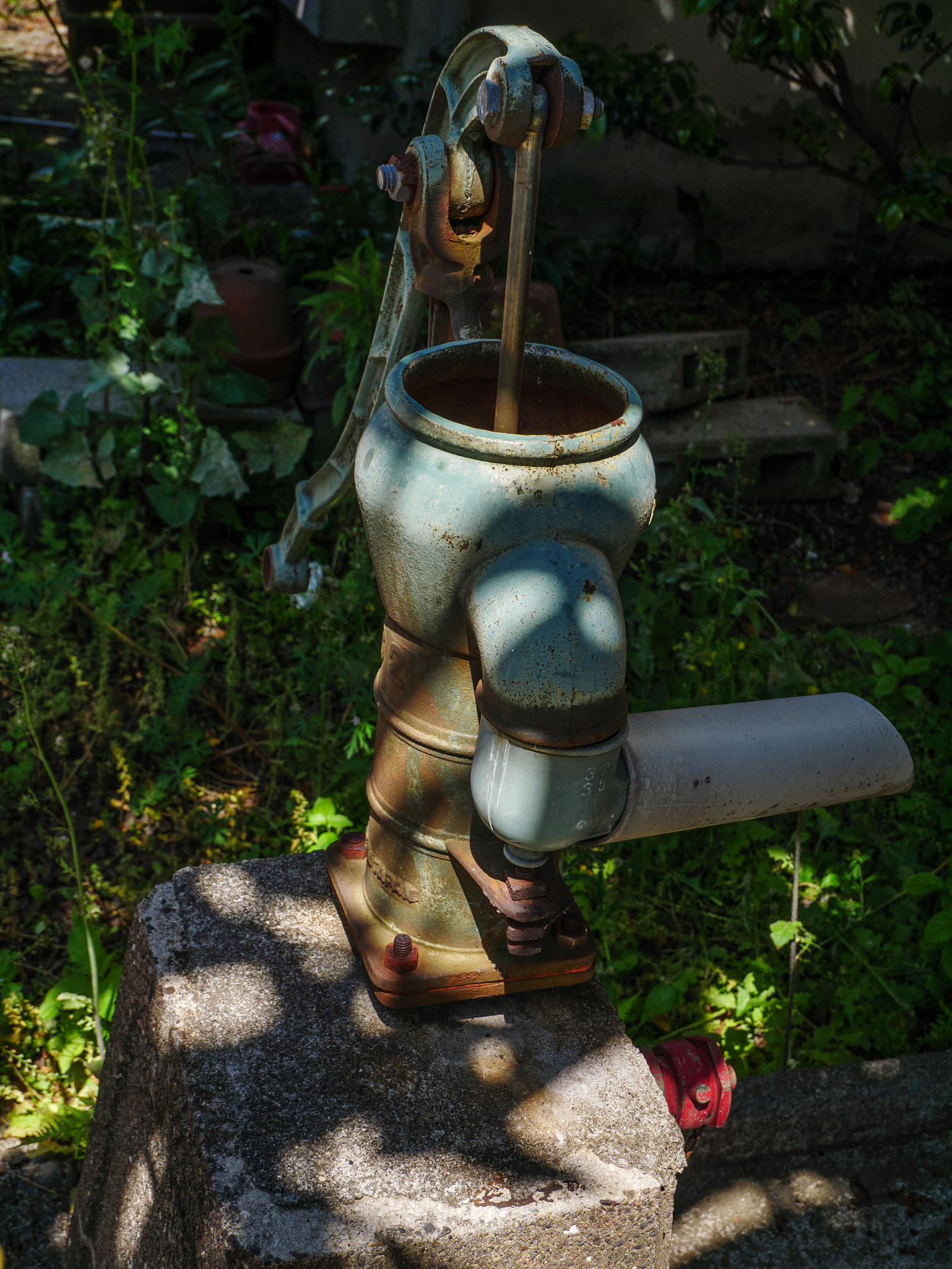 Panasonic Lumix DMC-GX85 (Lumix DMC-GX80 / Lumix DMC-GX7 Mark II) sample photo. The well which died photography