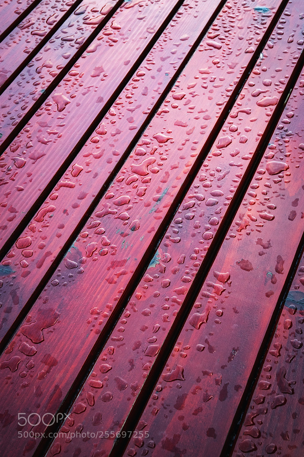 Nikon D5500 sample photo. Drops of water on photography