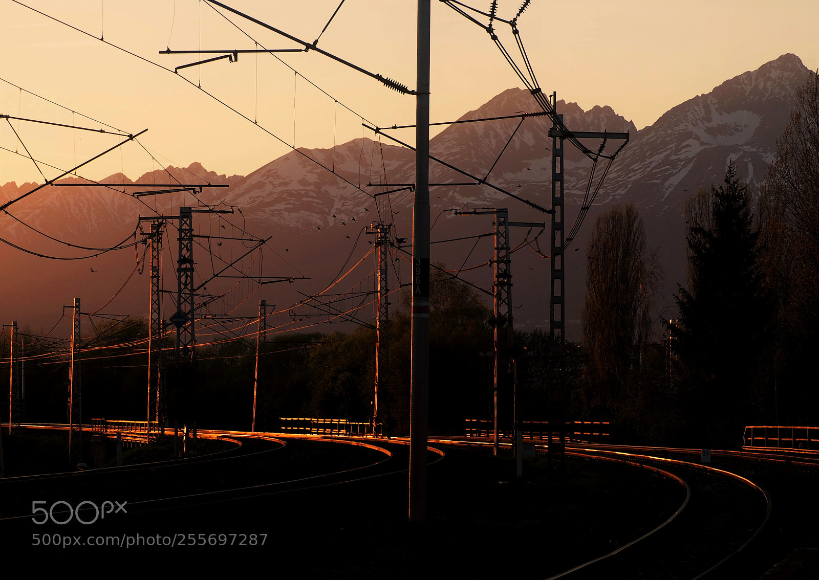 Olympus OM-D E-M10 sample photo. By train to high photography