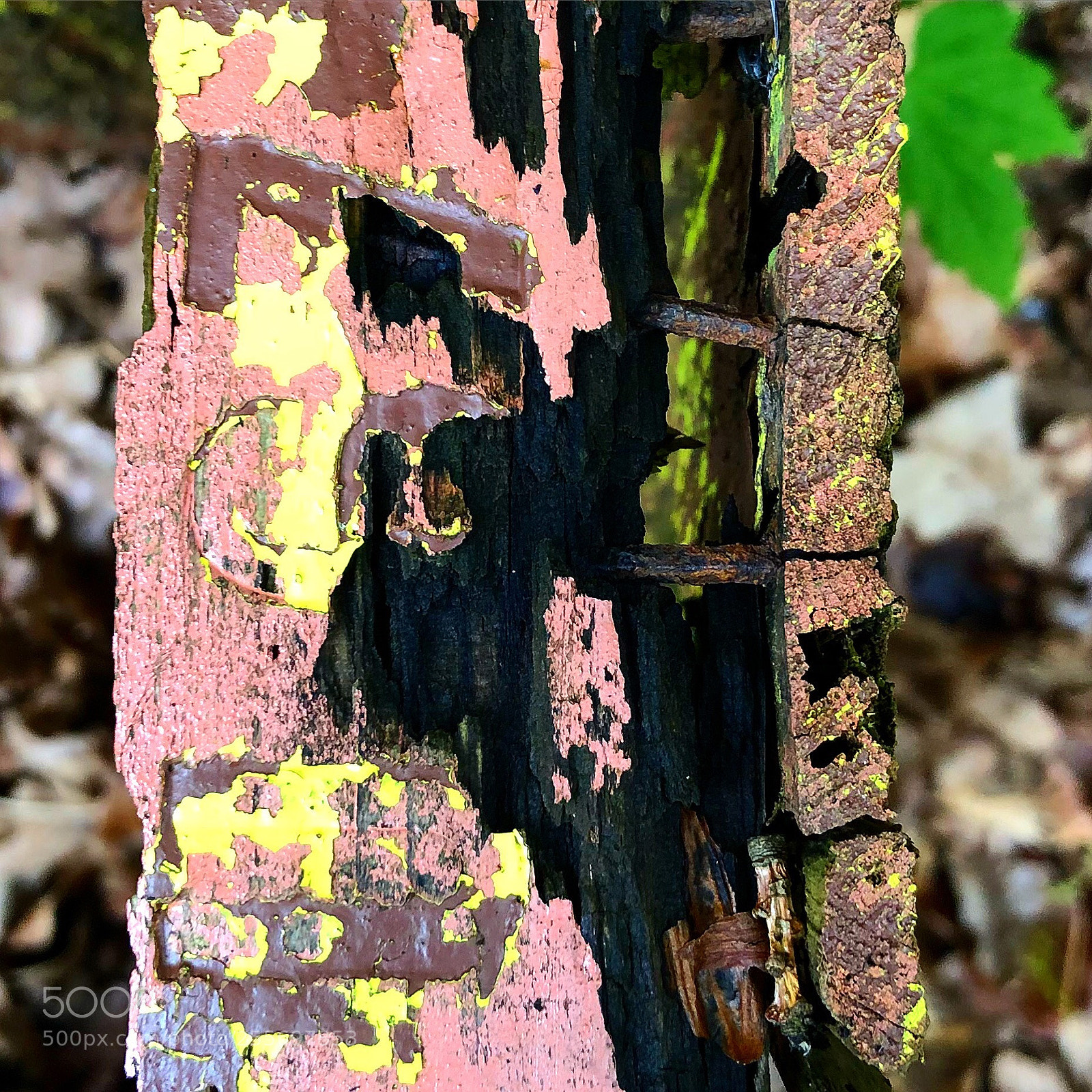 Apple iPhone 8 Plus sample photo. Lovely old coloured wood photography