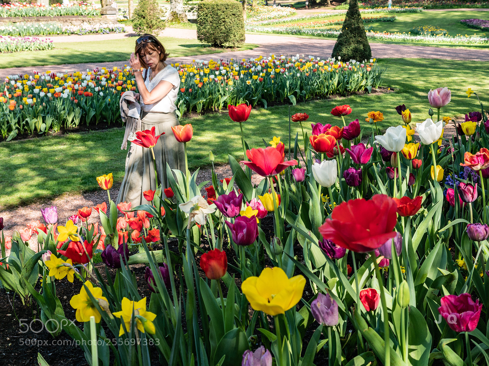 Panasonic Lumix DC-G9 sample photo. Walking at floralia brussels  photography