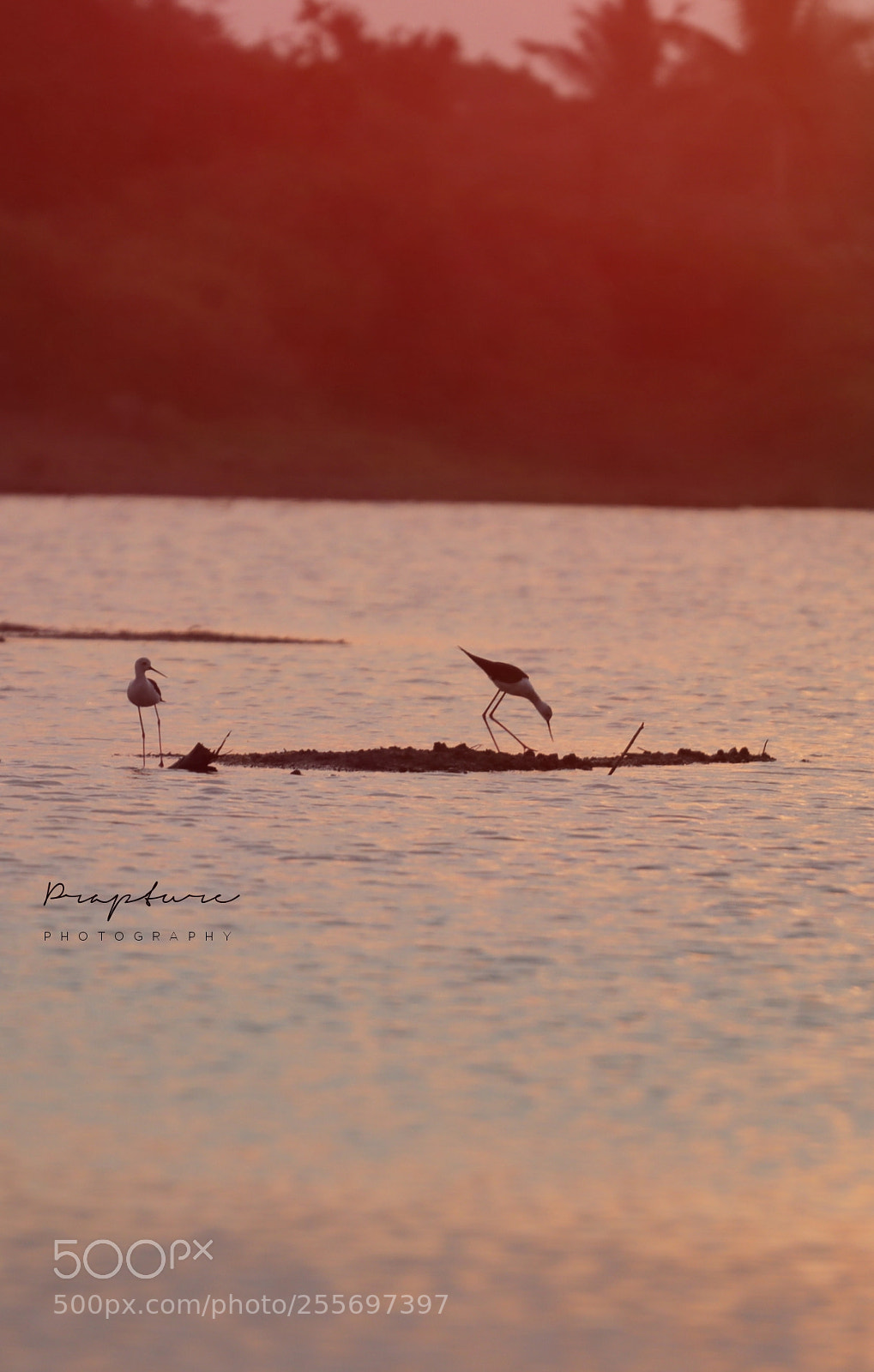 Canon EOS 77D (EOS 9000D / EOS 770D) sample photo. Nature photography