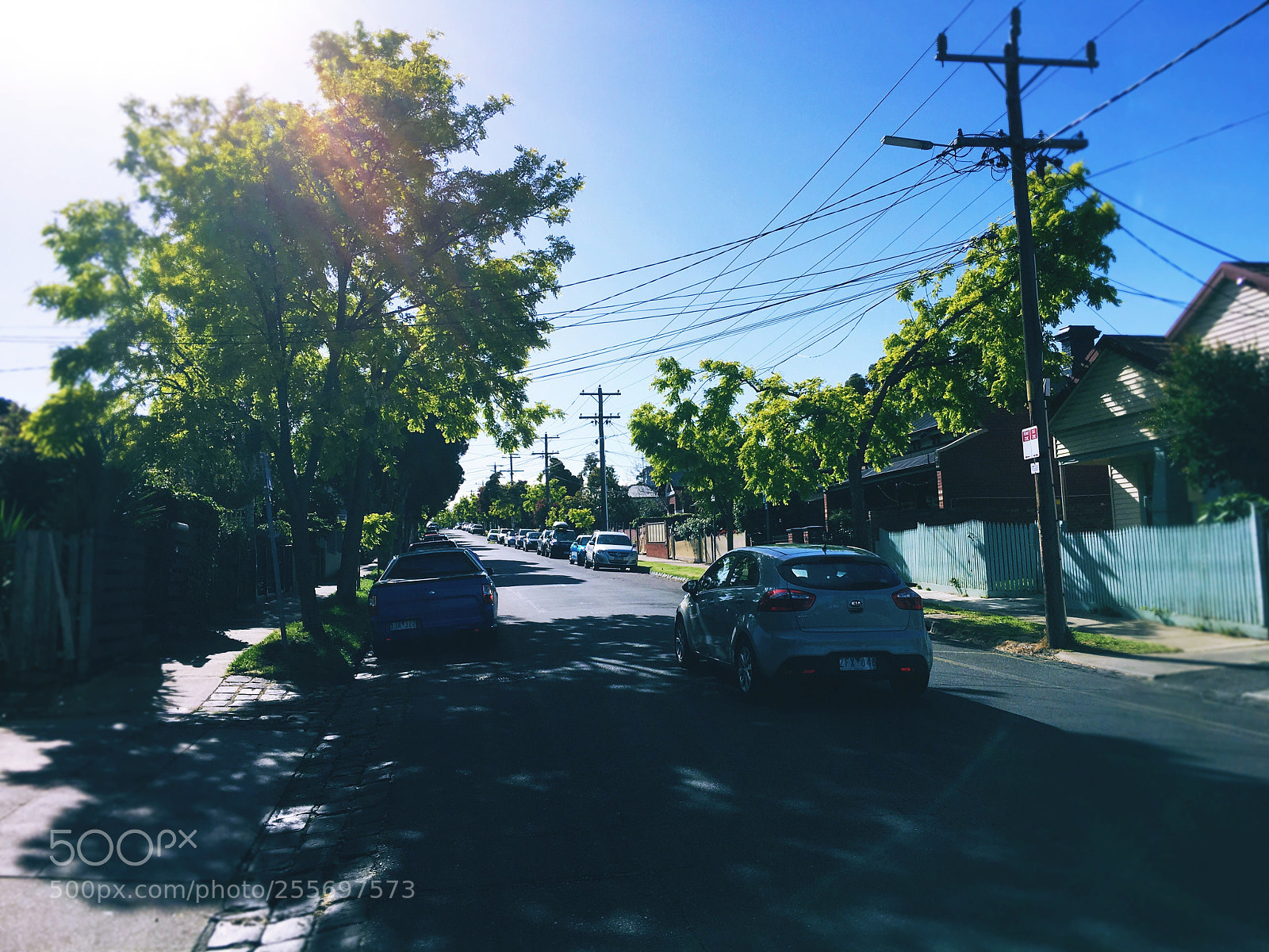 Apple iPhone 6s sample photo. Untitled photography
