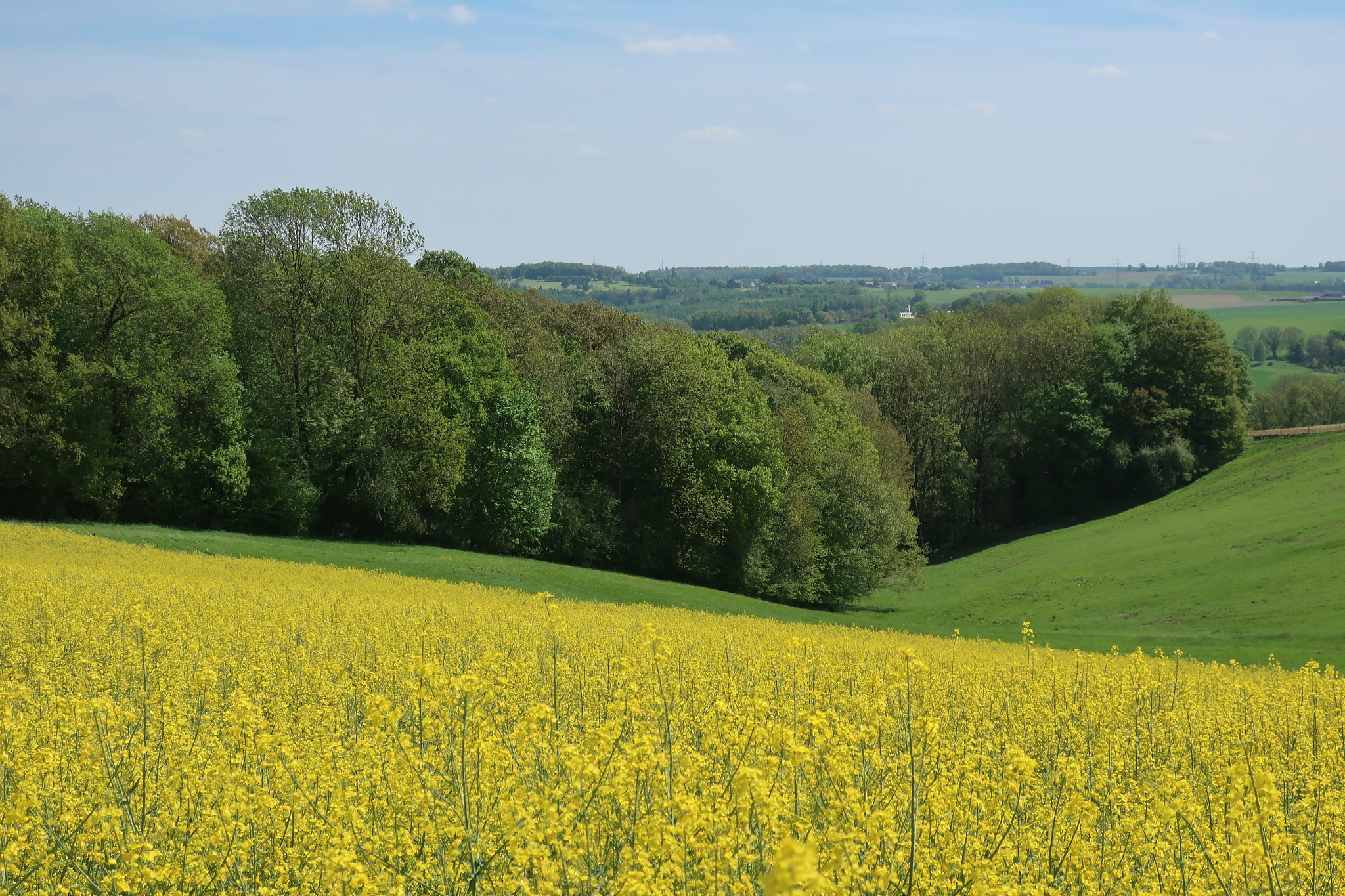 Canon PowerShot G9 X Mark II sample photo. Wallonia landscape. photography