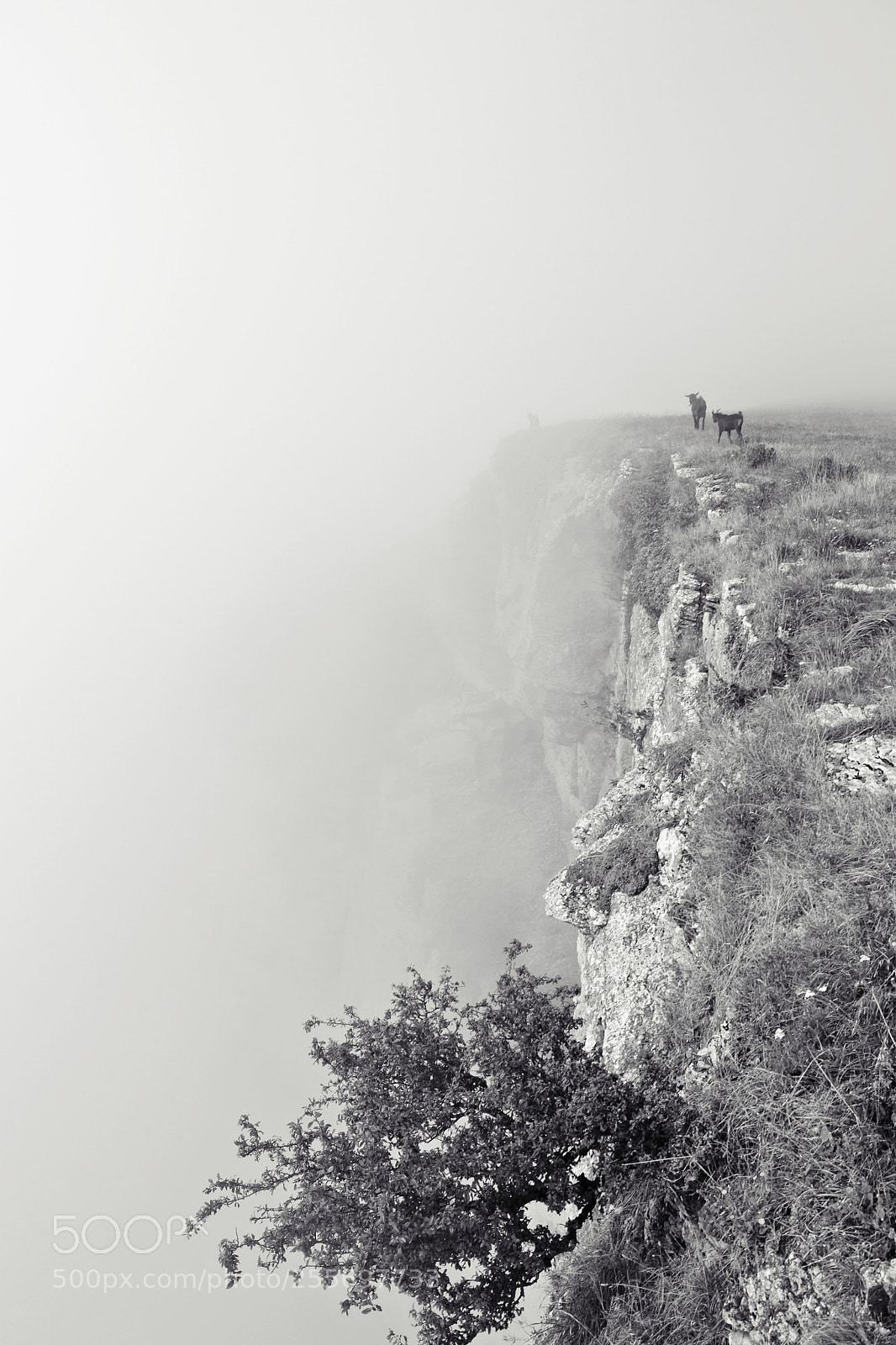 Nikon D3100 sample photo. Phantom falls photography