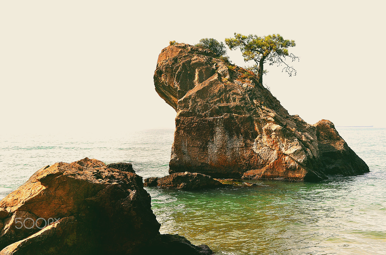 Nikon D5000 sample photo. ** photography