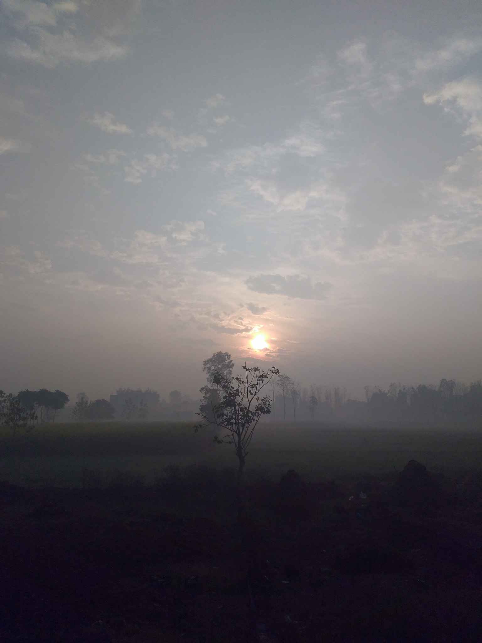 Motorola Moto G Play sample photo. Sunrise photography