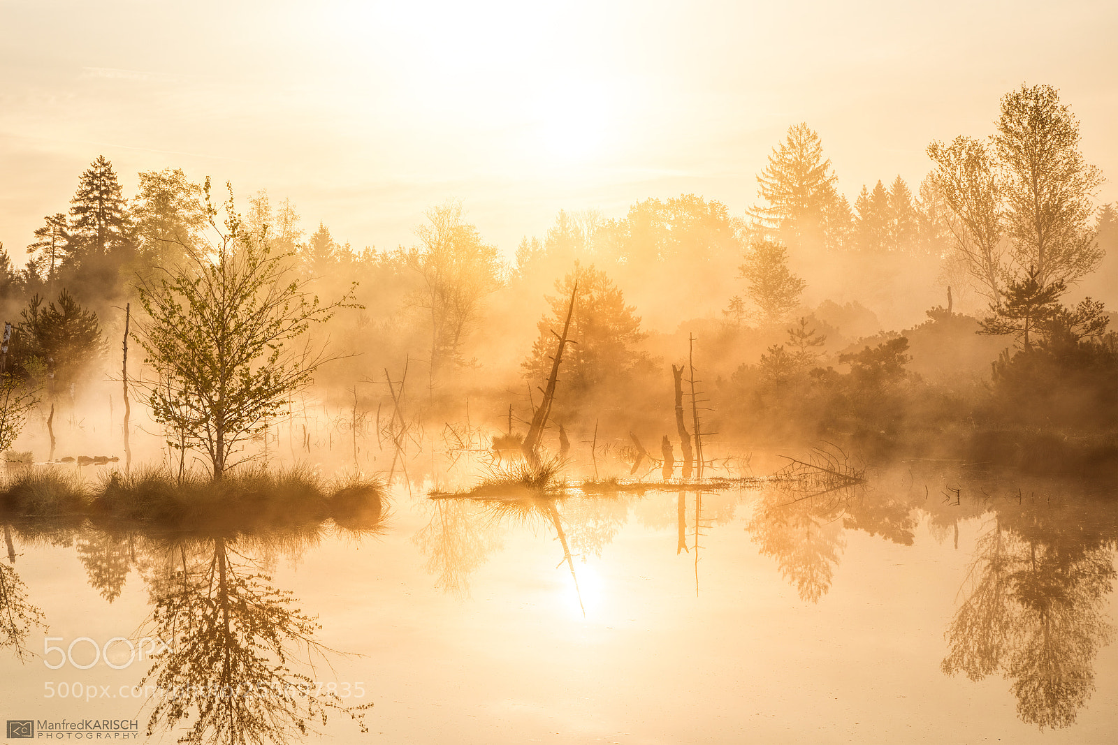 Canon EOS 5D Mark IV sample photo. Golden light photography