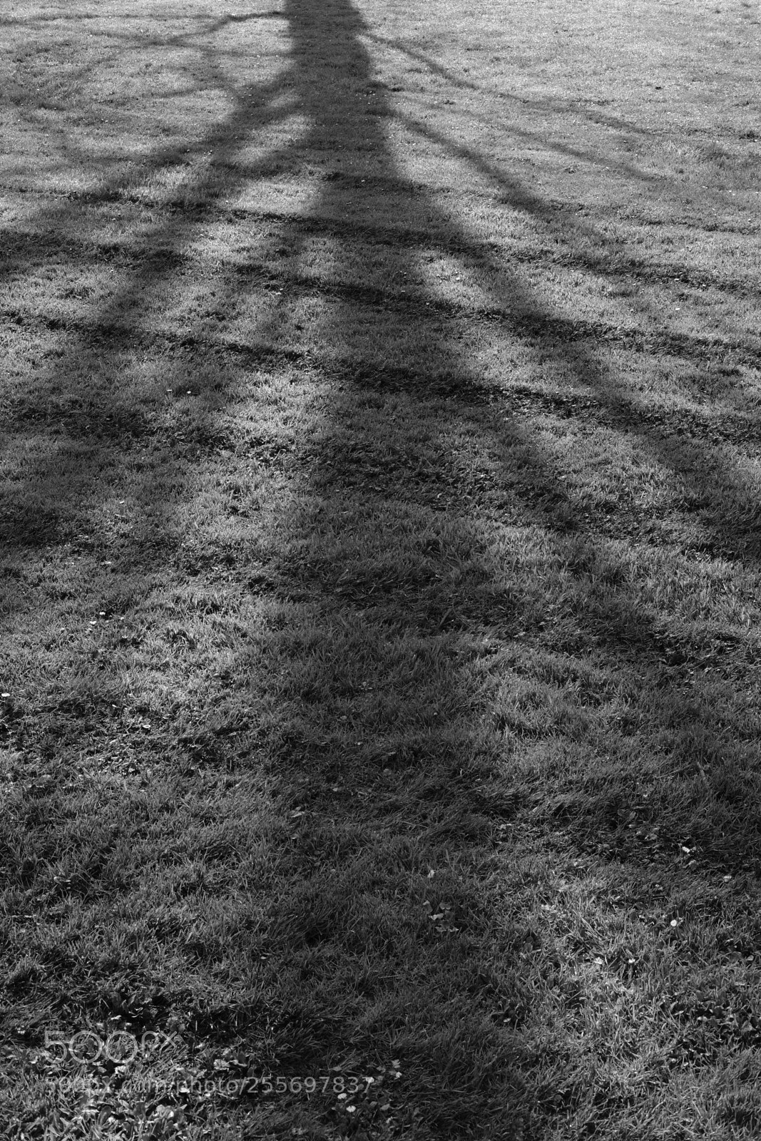 Fujifilm X-T20 sample photo. Shadow photography