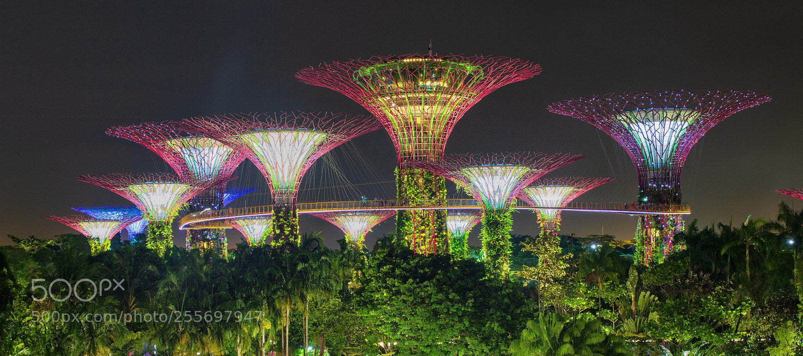 Canon EOS 7D sample photo. Supertree grove photography