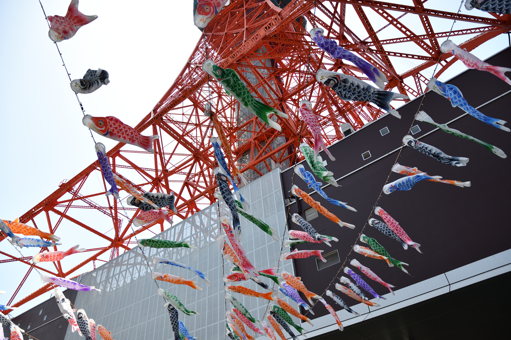 Nikon D500 sample photo. Carp shaped streamer photography