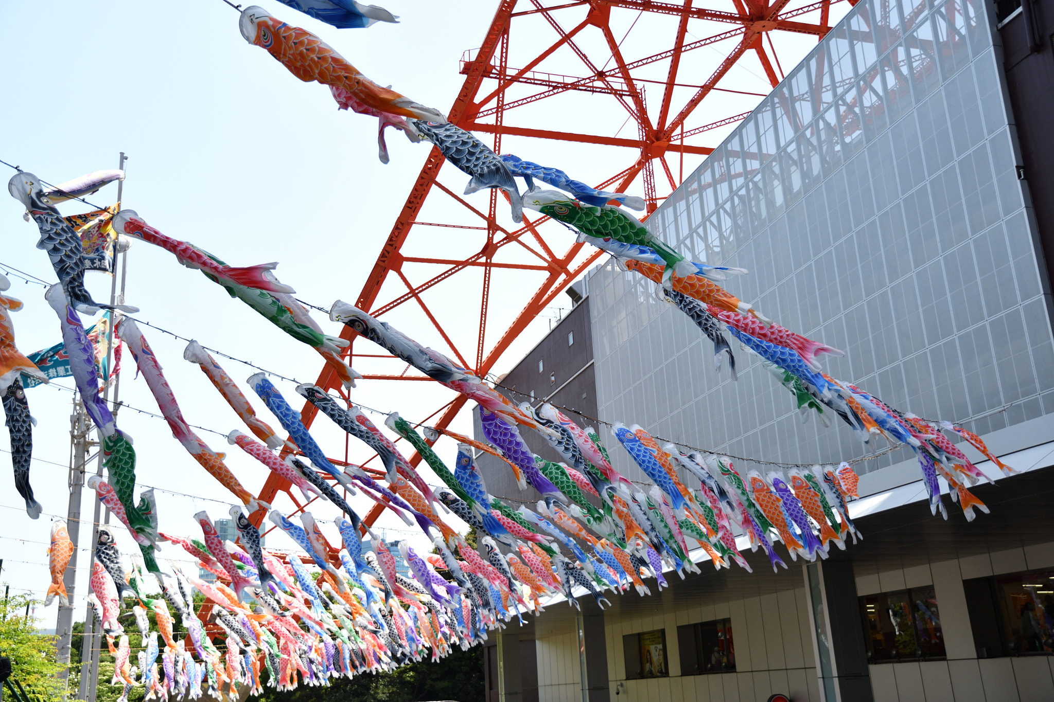 Nikon D500 sample photo. Koinobori（こいのぼり） photography