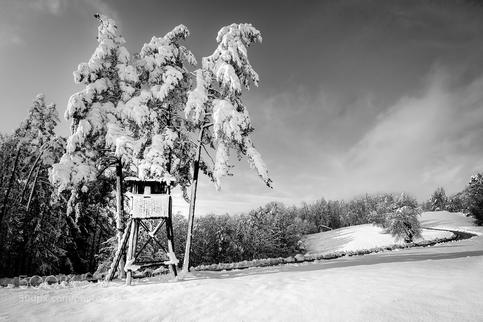 Nikon D700 sample photo. Winter days photography