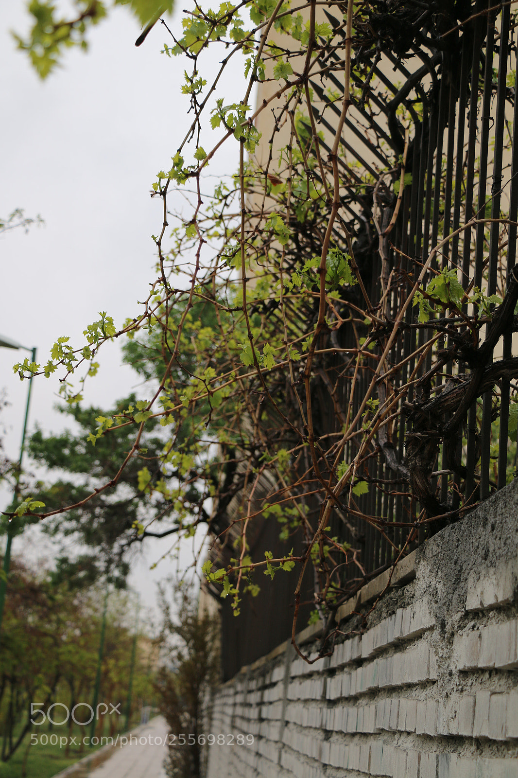Canon EOS 70D sample photo. Untitled photography