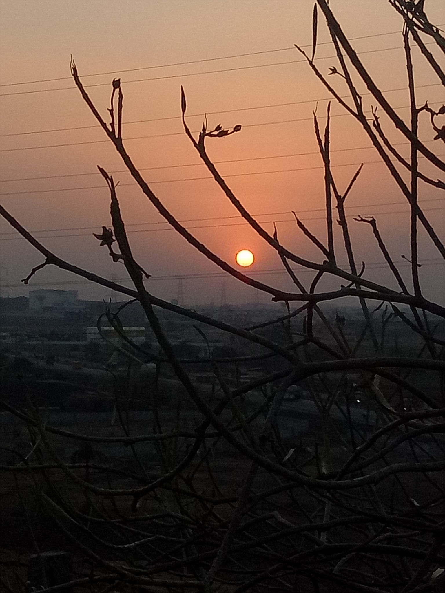 OPPO CPH1609 sample photo