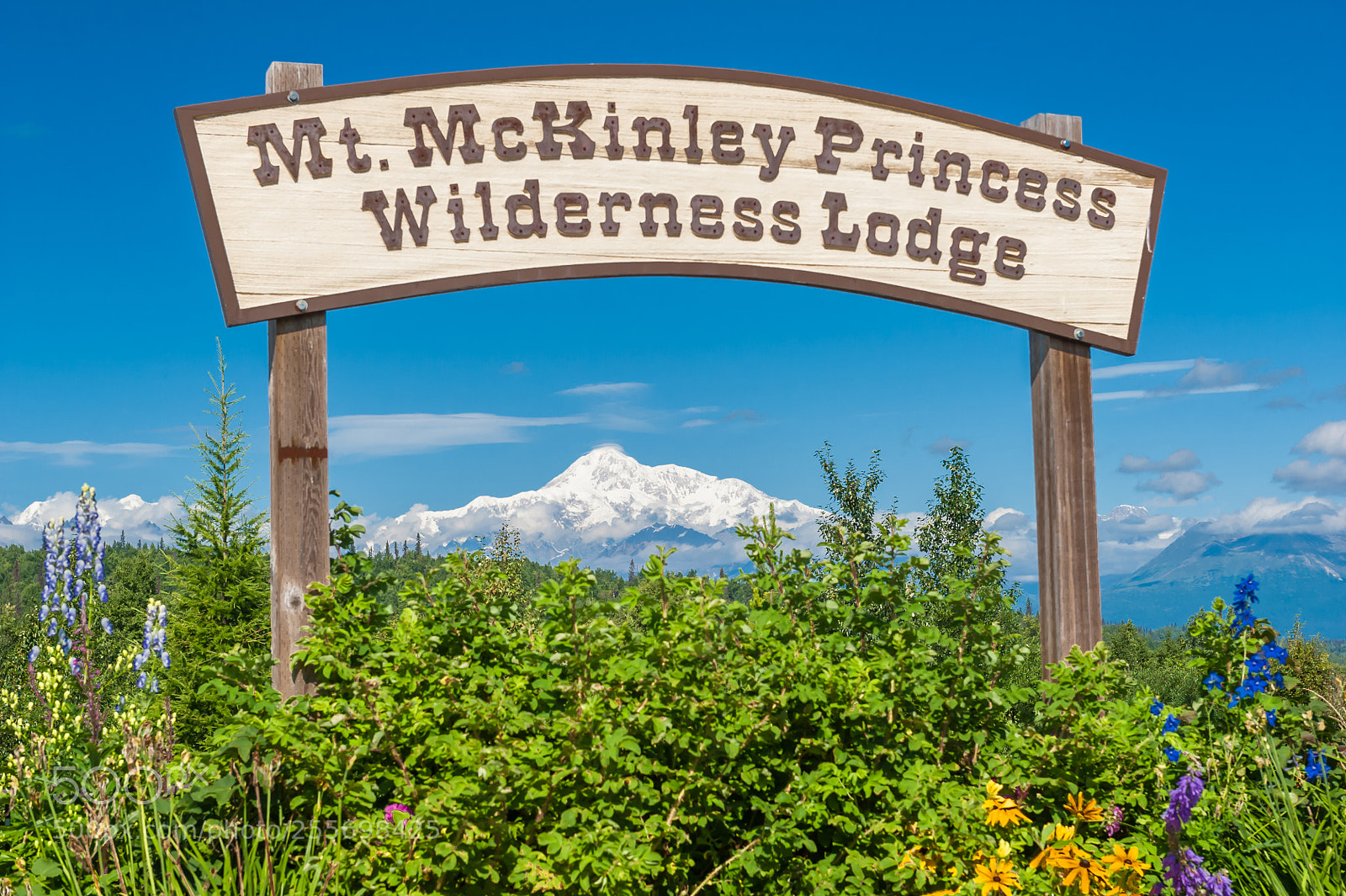 Nikon D700 sample photo. Mt. mckinley photography