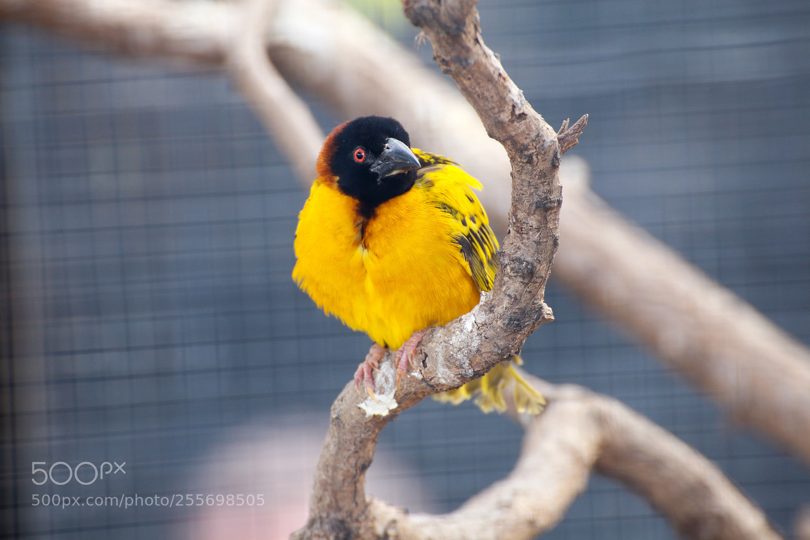 Canon EOS 6D sample photo. Untitled photography