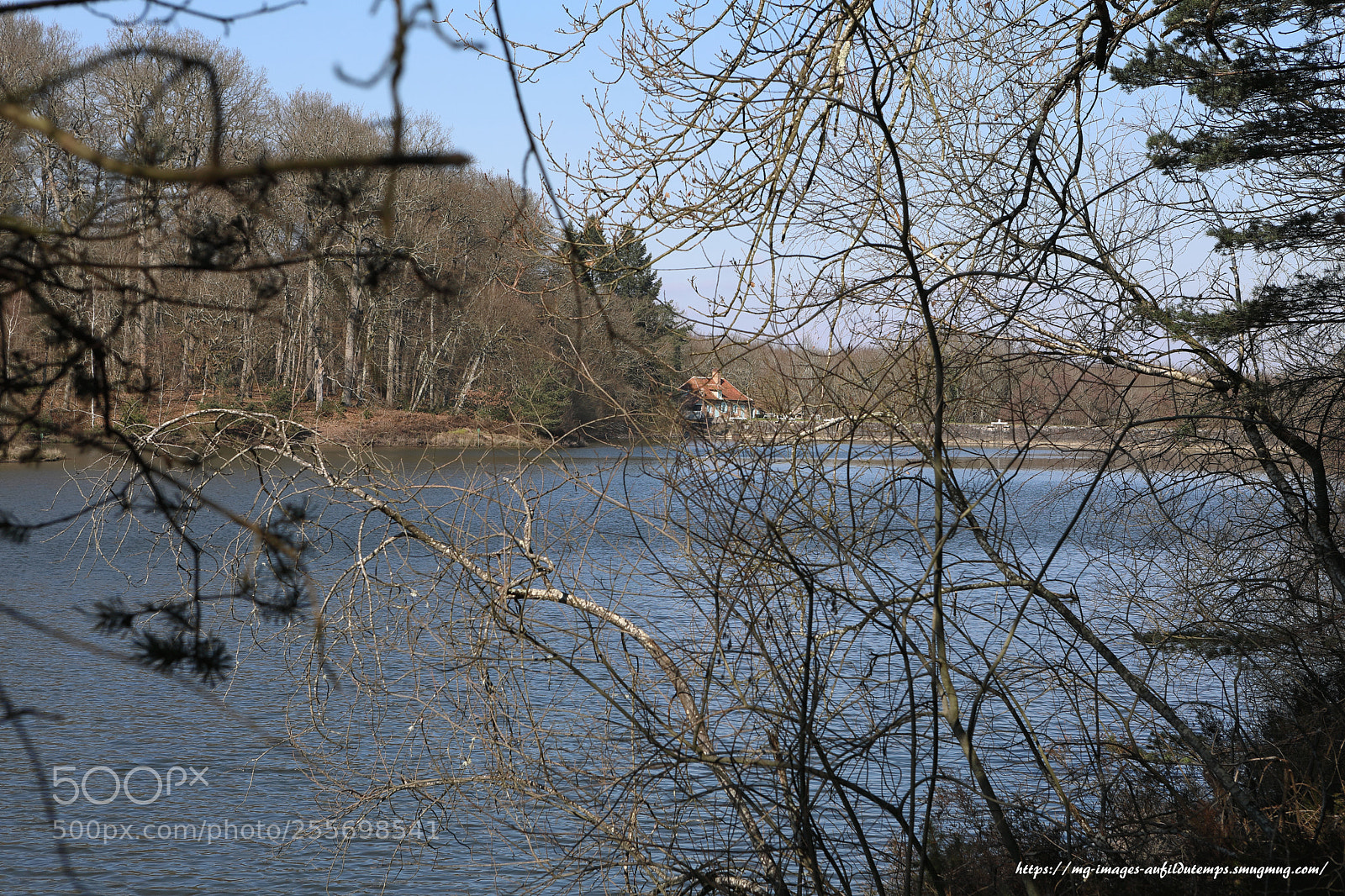 Canon EOS 5D Mark IV sample photo. Winter morning in the photography