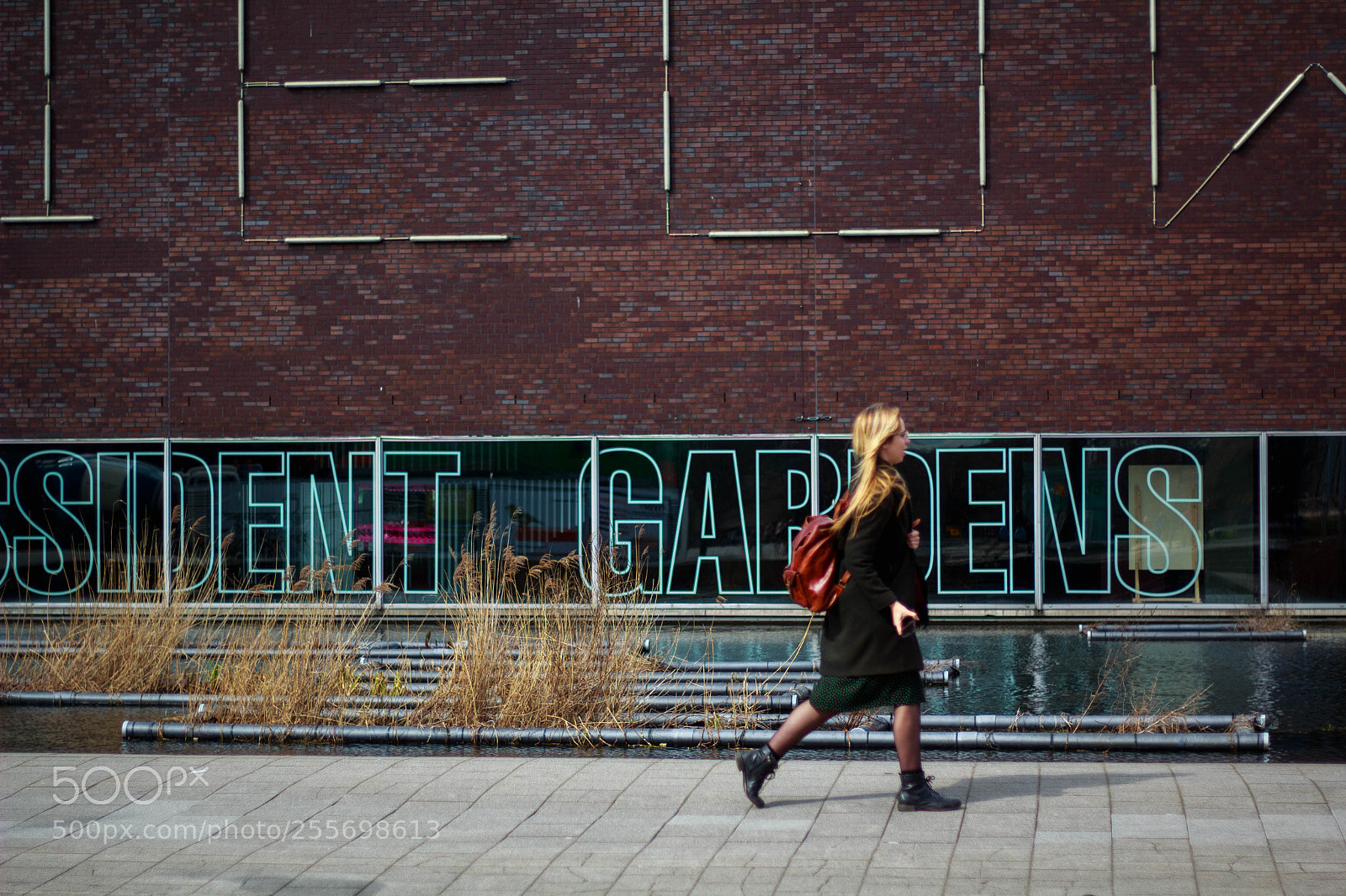 Canon EOS 60D sample photo. Dissident gardens photography