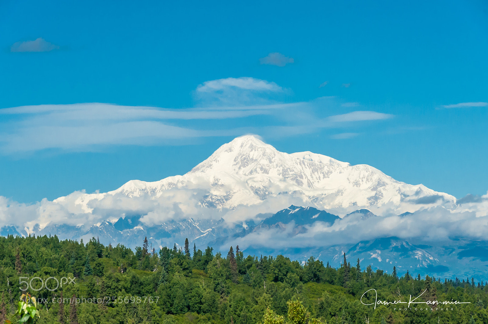 Nikon D700 sample photo. Denali in sun photography