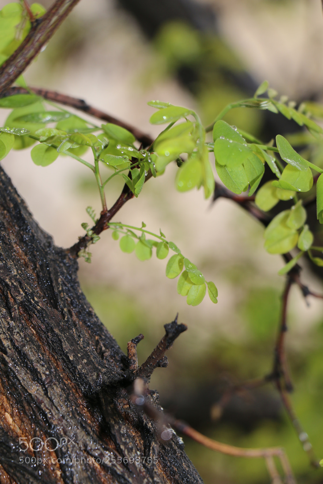 Canon EOS 70D sample photo. Untitled photography