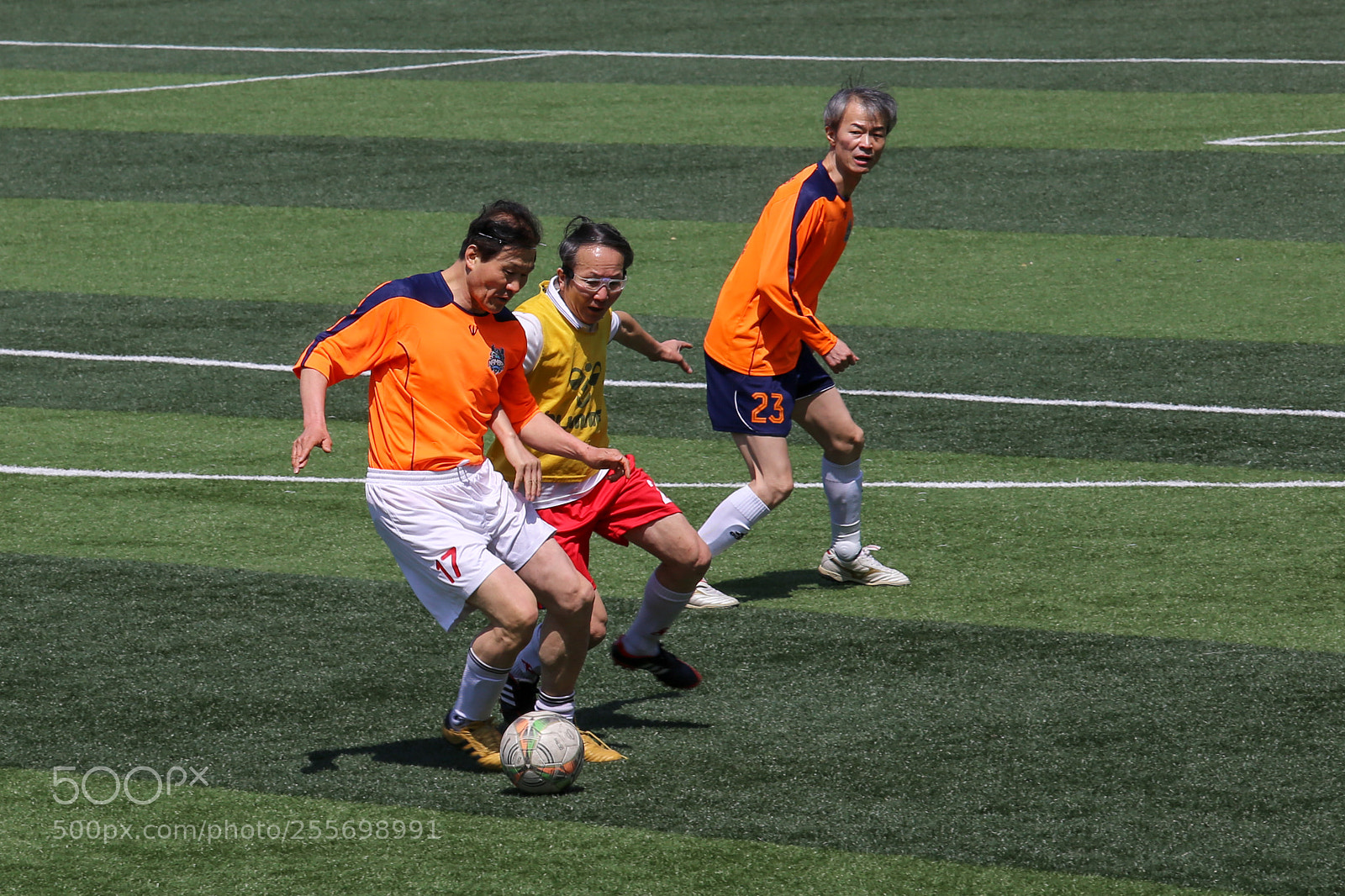 Canon EOS 6D sample photo. It is still youth. photography