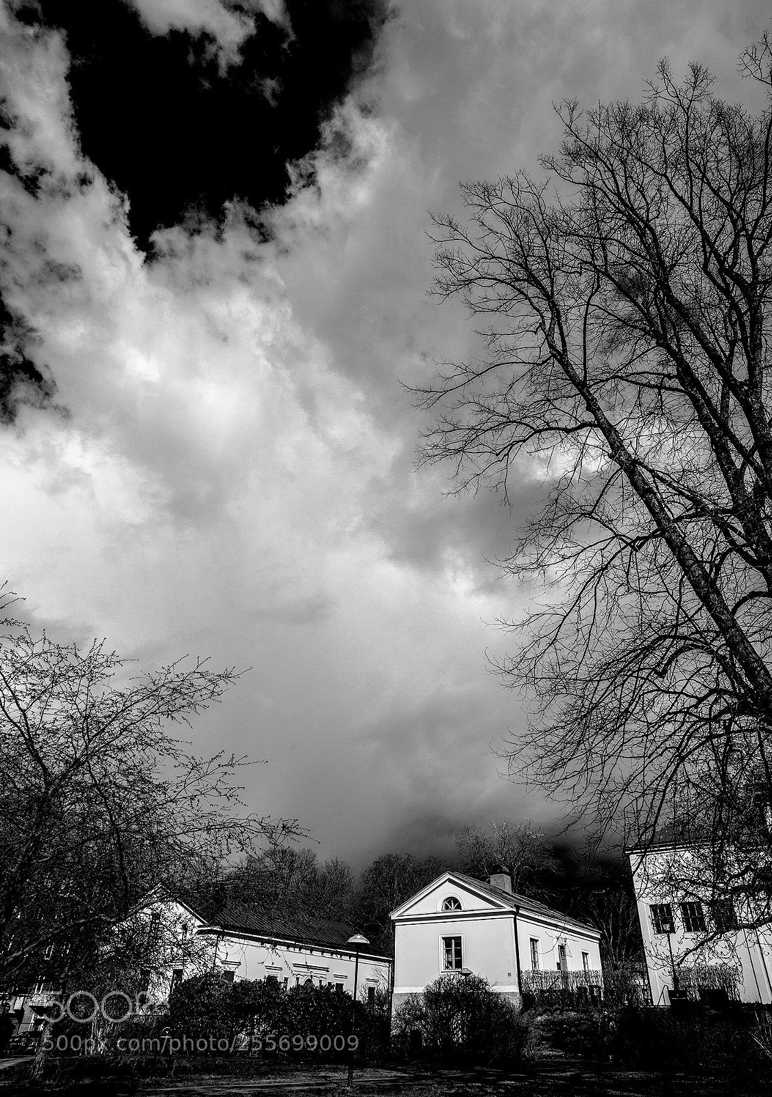 Leica M (Typ 240) sample photo. Cloudy photography