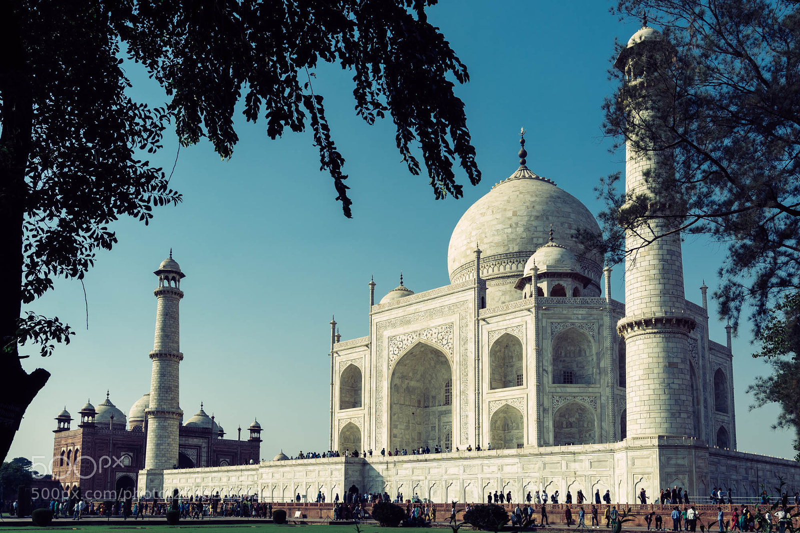 Nikon D7100 sample photo. Taj mahal photography