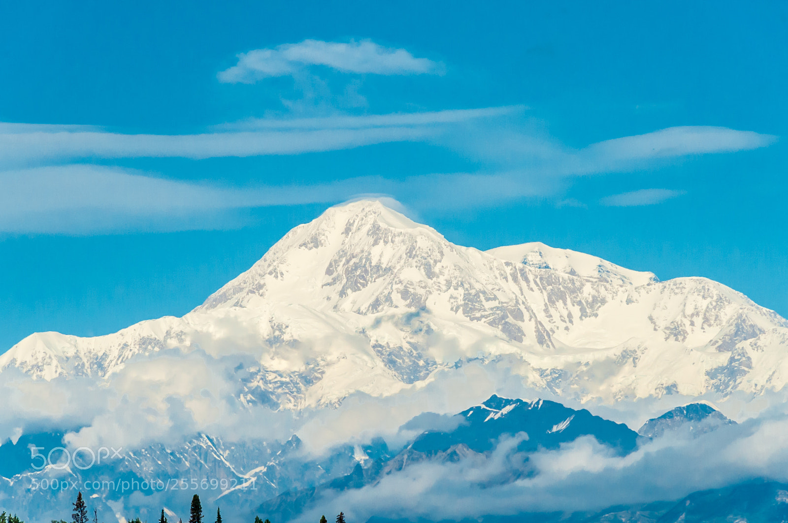 Nikon D700 sample photo. Denali up close photography