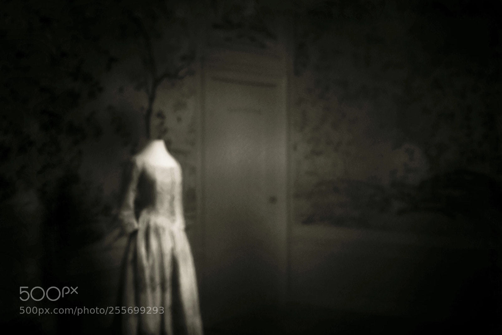 Nikon D7500 sample photo. Manor oud amelisweerd. haunted  photography