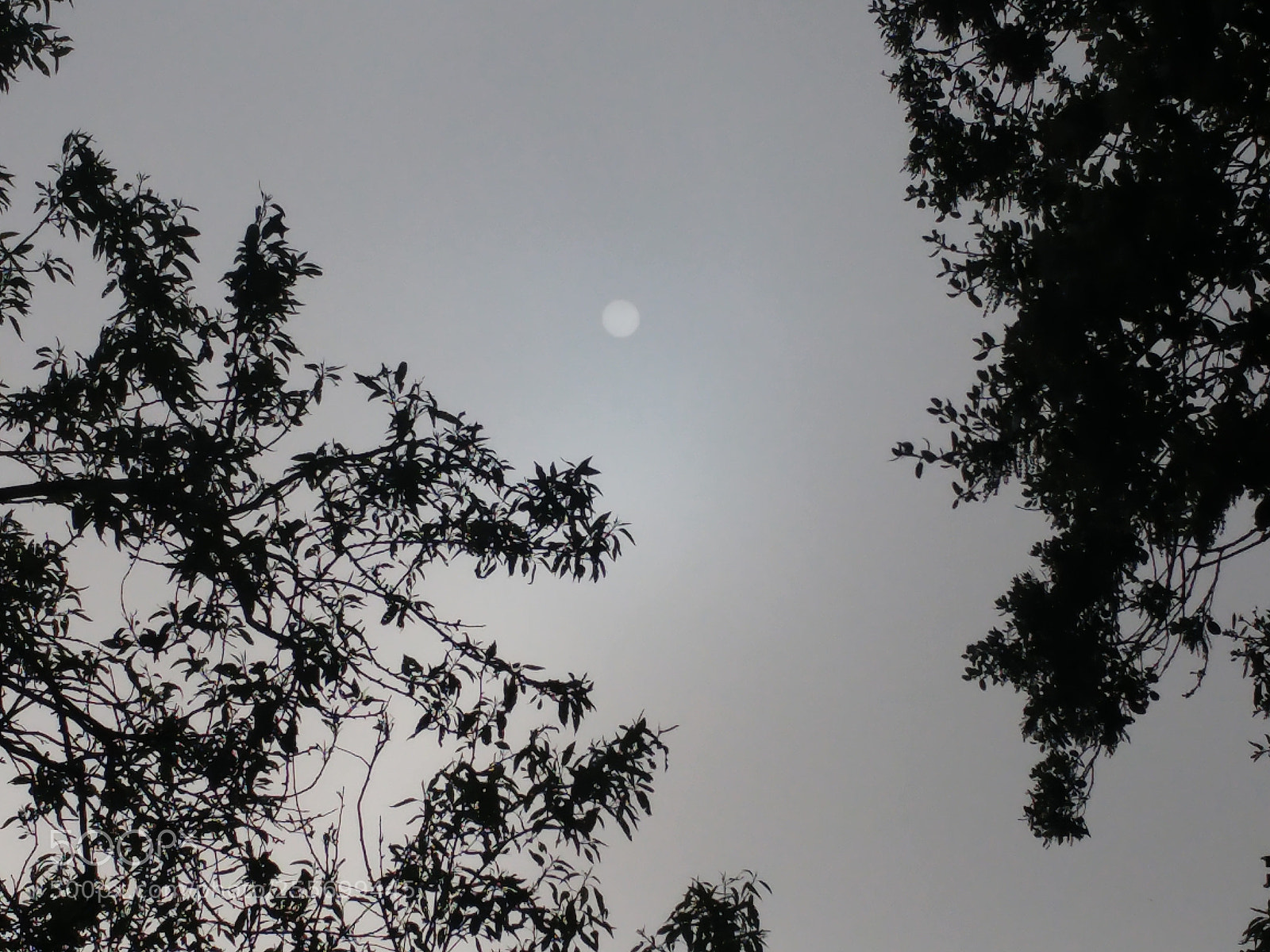 LG G5 sample photo. Niebla de abril photography