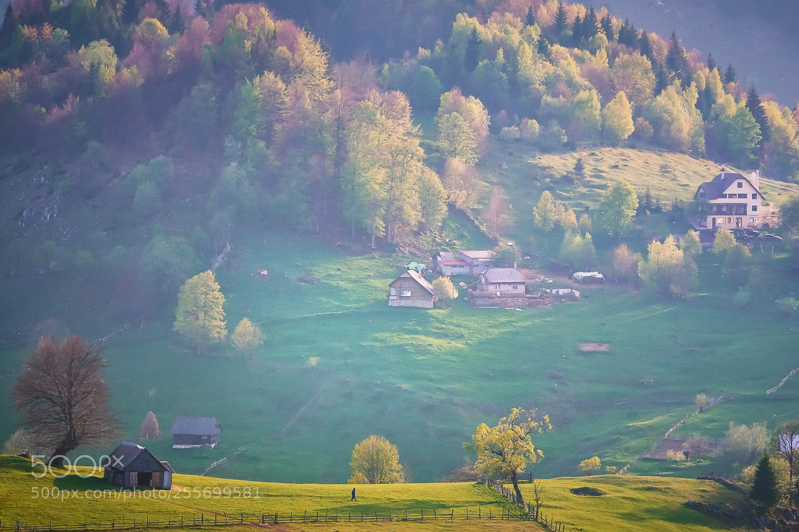 Nikon D7200 sample photo. Countryside photography