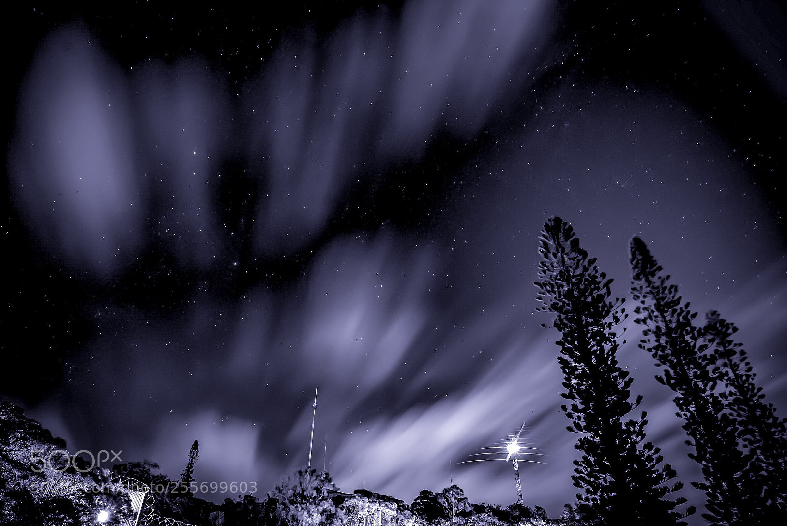 Sony a7S sample photo. Sky life at midnight photography