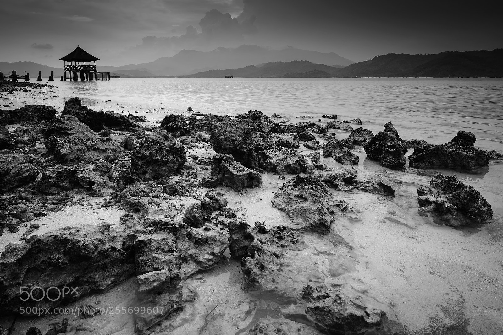 Nikon D7100 sample photo. Tanjungputus5 photography