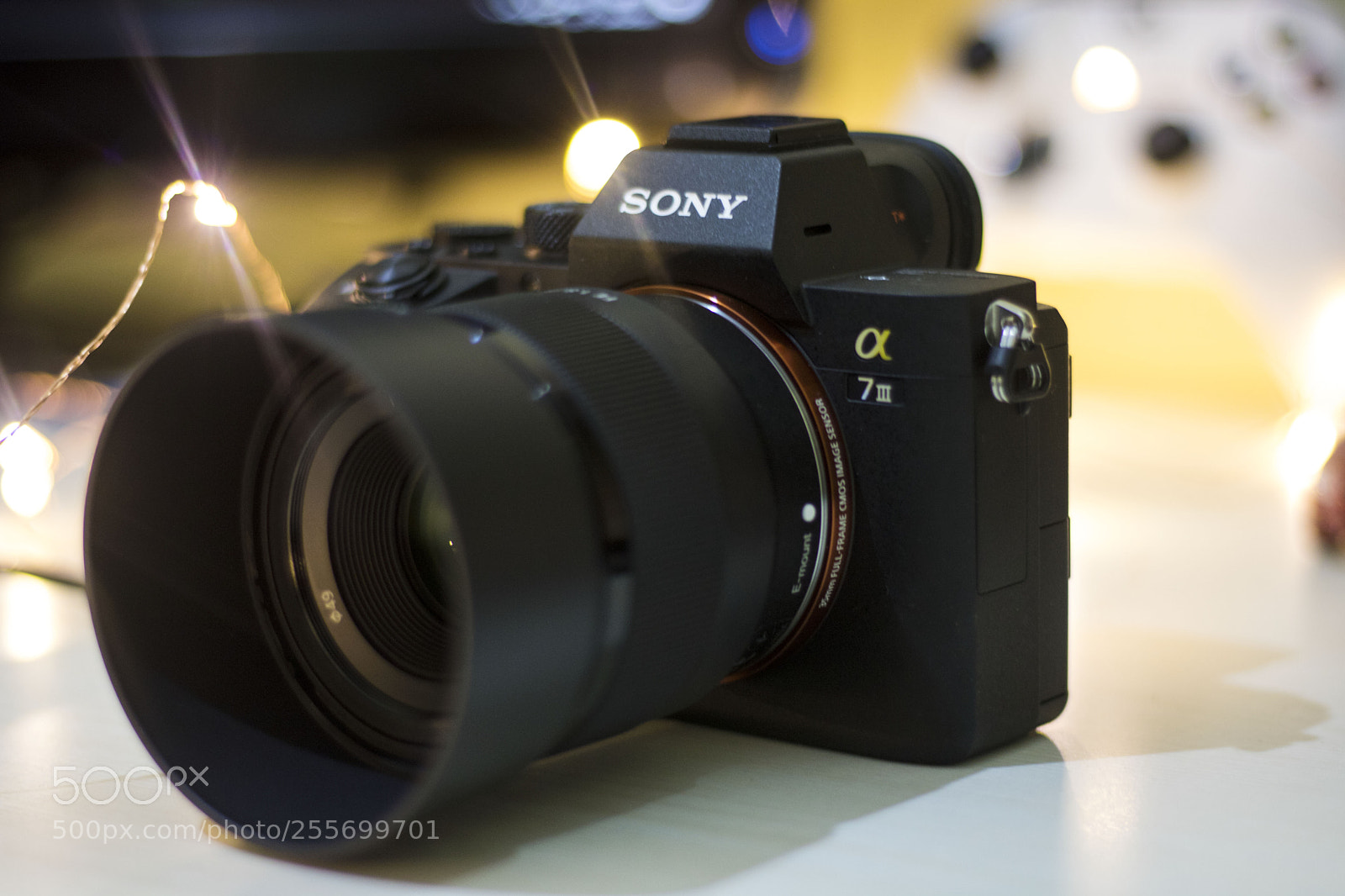 Canon EOS 750D (EOS Rebel T6i / EOS Kiss X8i) sample photo. Sonya73 photography