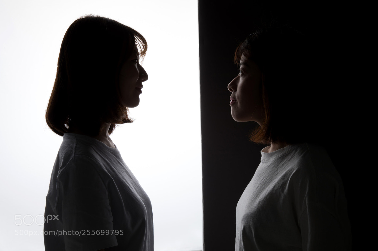 Canon EOS 5D Mark IV sample photo. Black or white photography