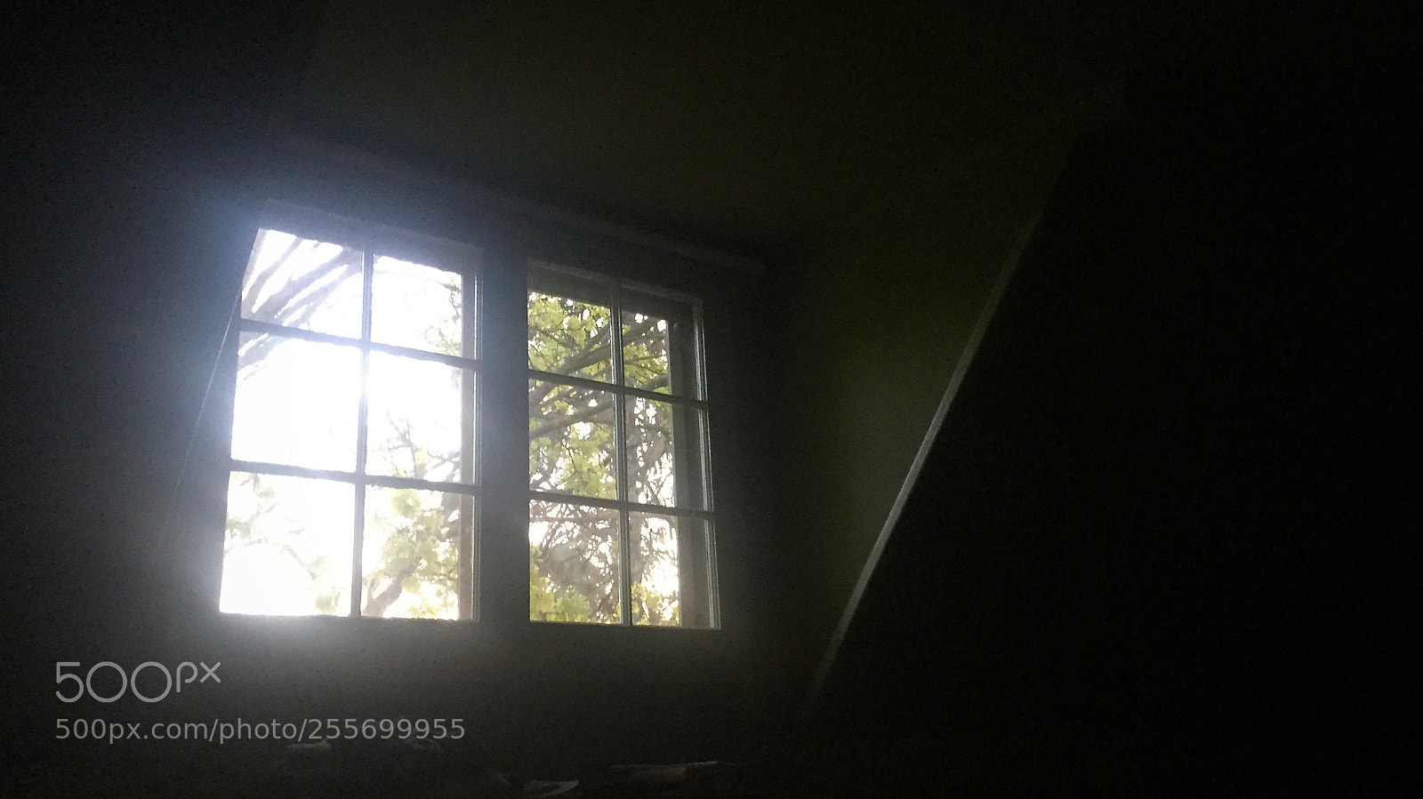 Apple iPhone 6 sample photo. Window photography