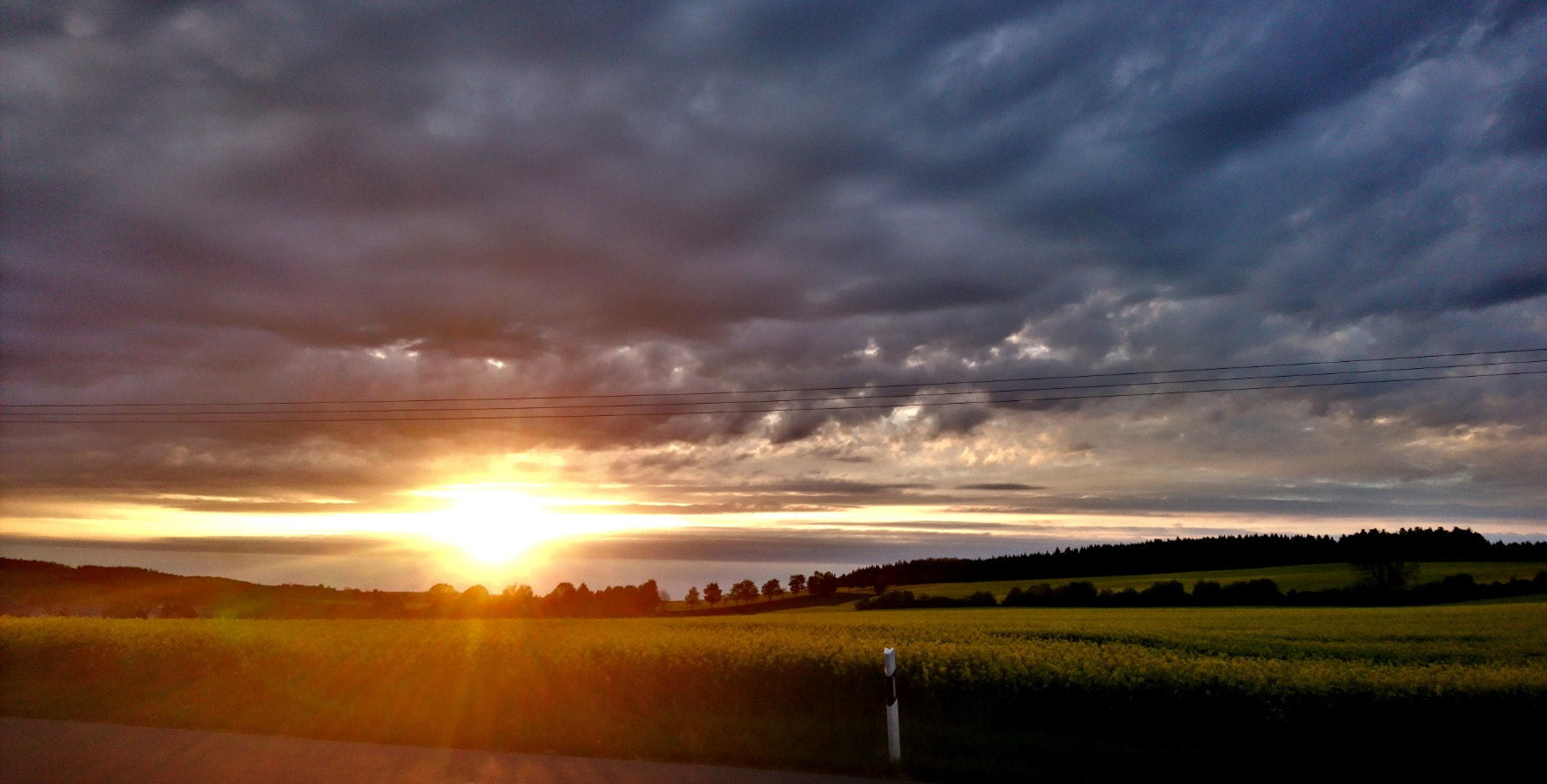 Sony Xperia X sample photo. Yesterday evening photography