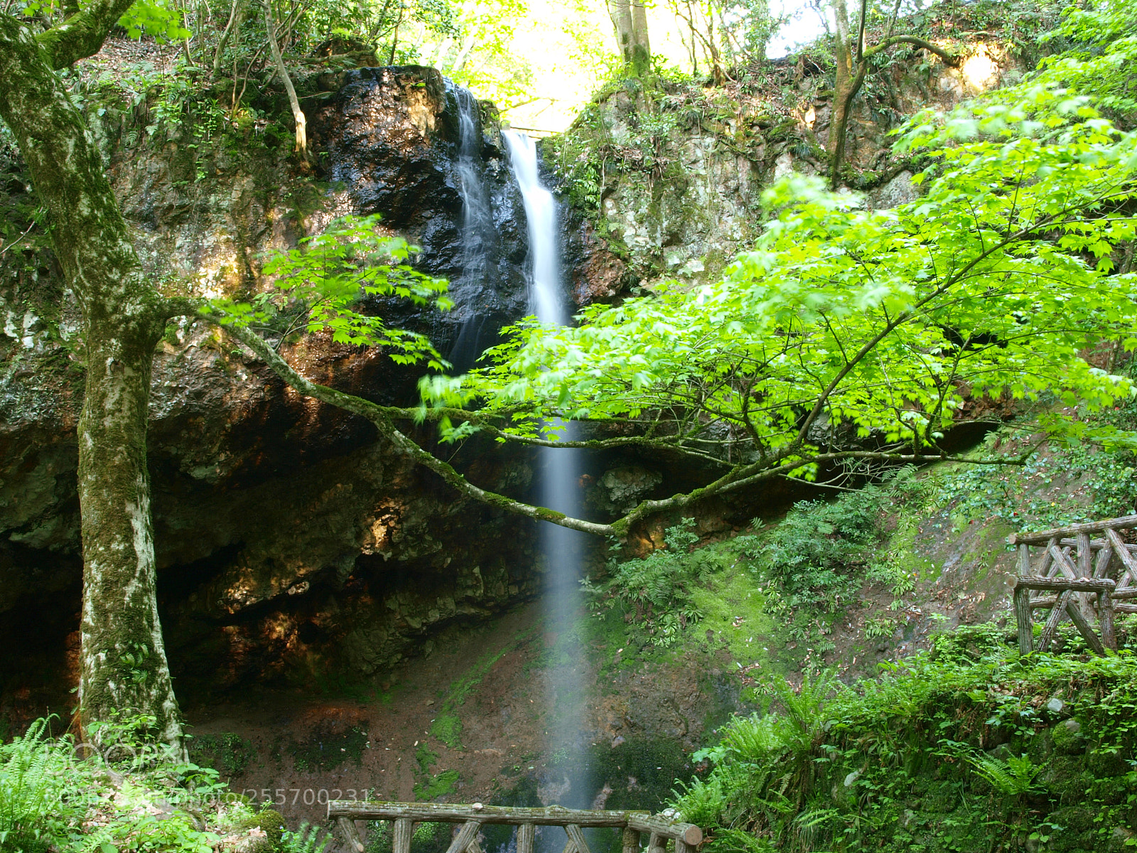 Olympus E-3 sample photo. 白玉の滝/waterfall photography