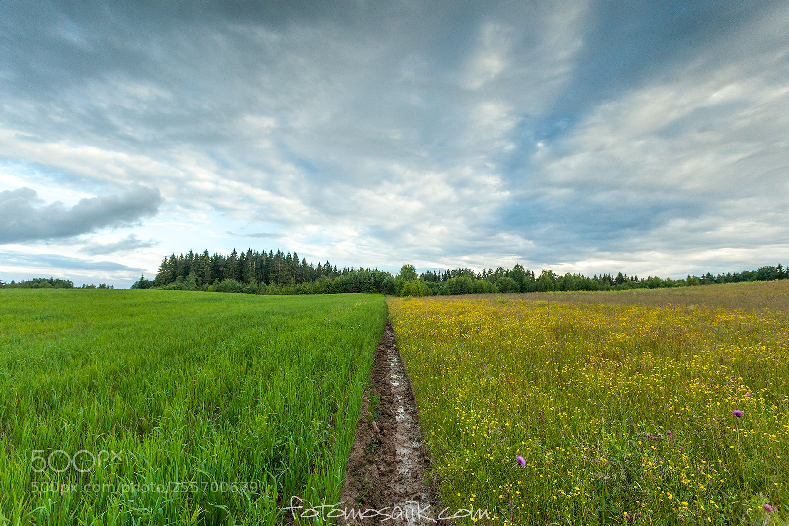 Canon EOS 5D Mark II sample photo. Neighbor land photography