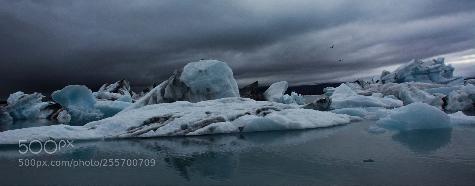 Nikon D7100 sample photo. Entre terre et mer photography