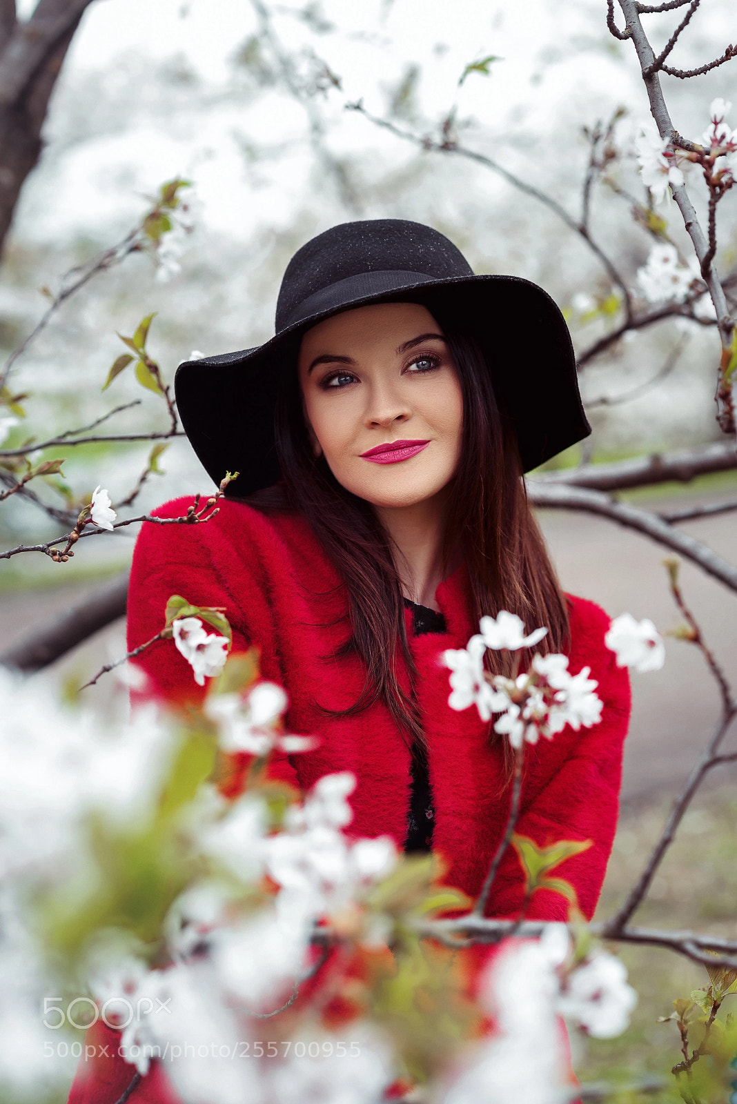 Nikon D610 sample photo. Sakura photography