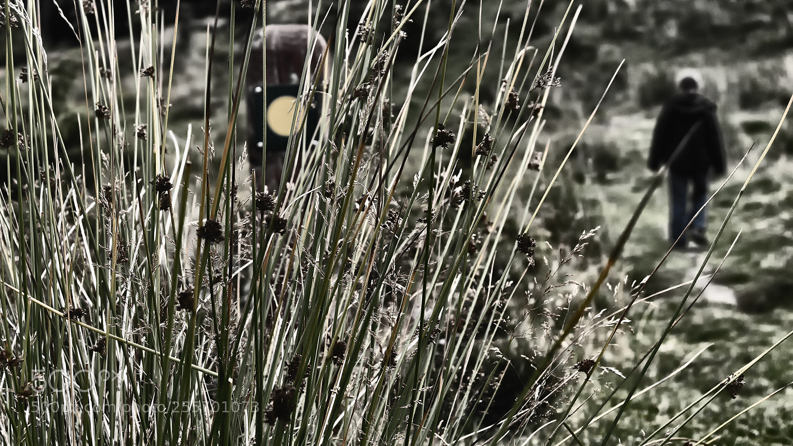 Sony ILCA-77M2 sample photo. Go hiking photography