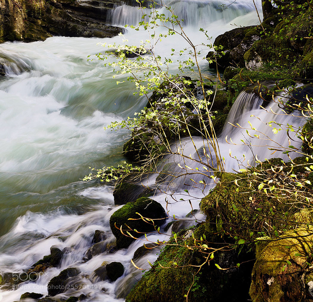 Sony ILCA-77M2 sample photo. On the edge photography