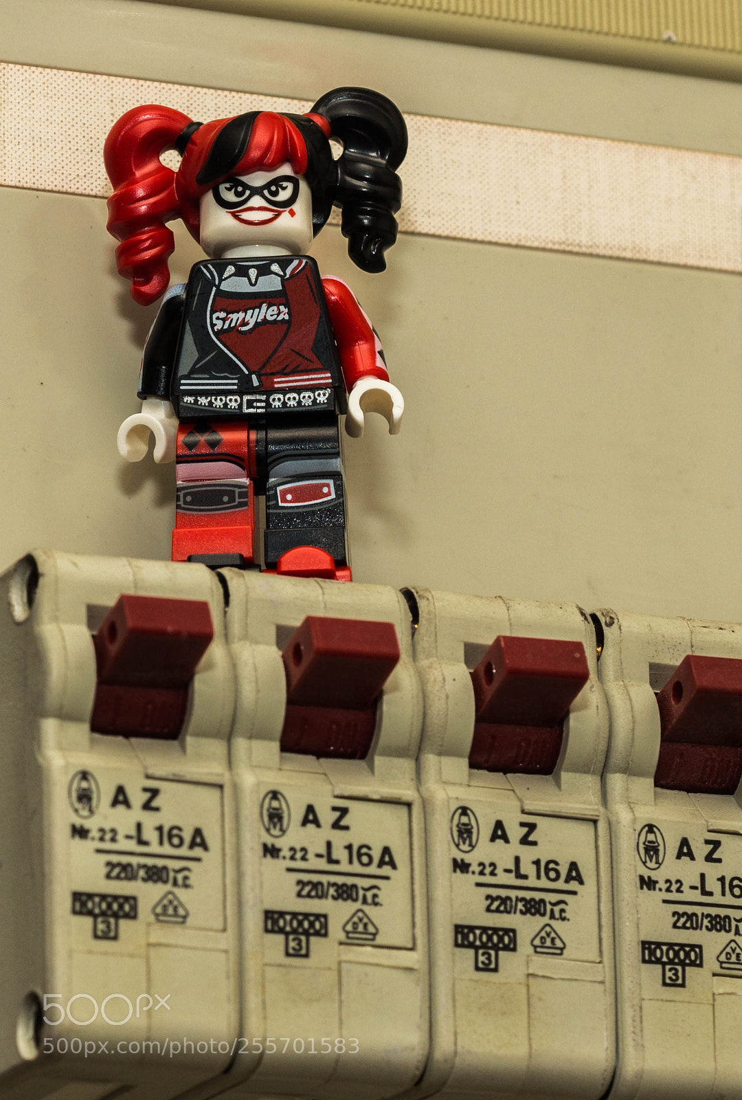 Canon EOS 650D (EOS Rebel T4i / EOS Kiss X6i) sample photo. Harley quinn 1 photography