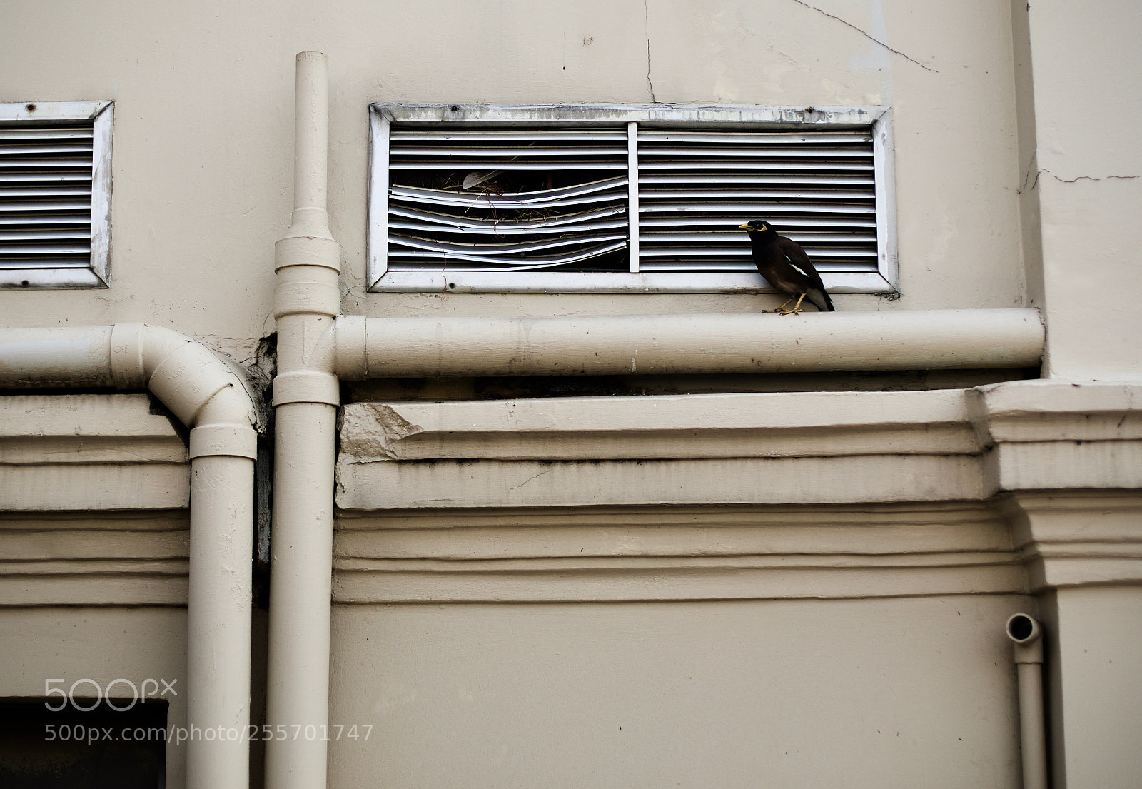 Canon EOS 5D Mark IV sample photo. At home photography