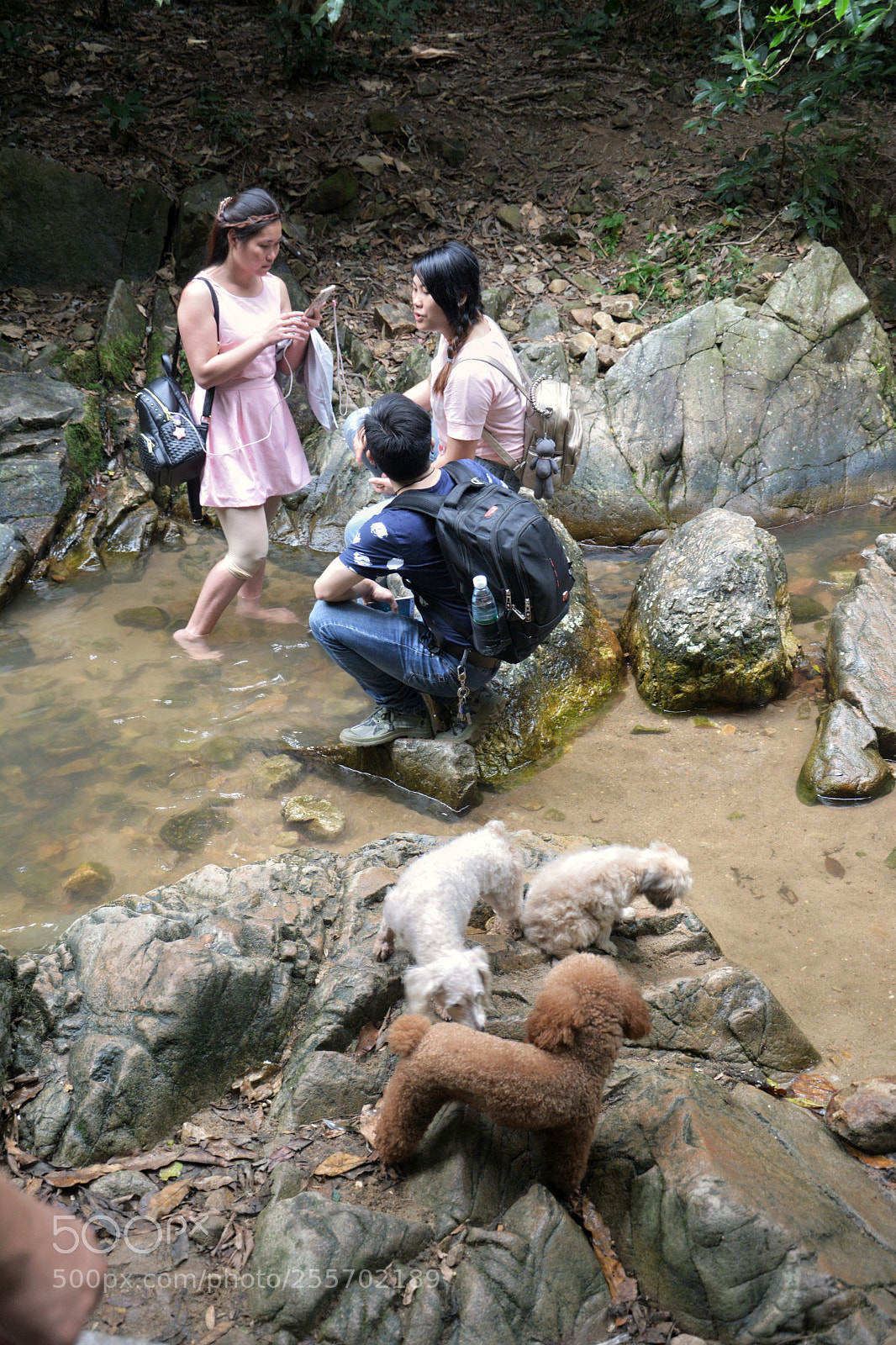 Nikon D5200 sample photo. Untitled photography