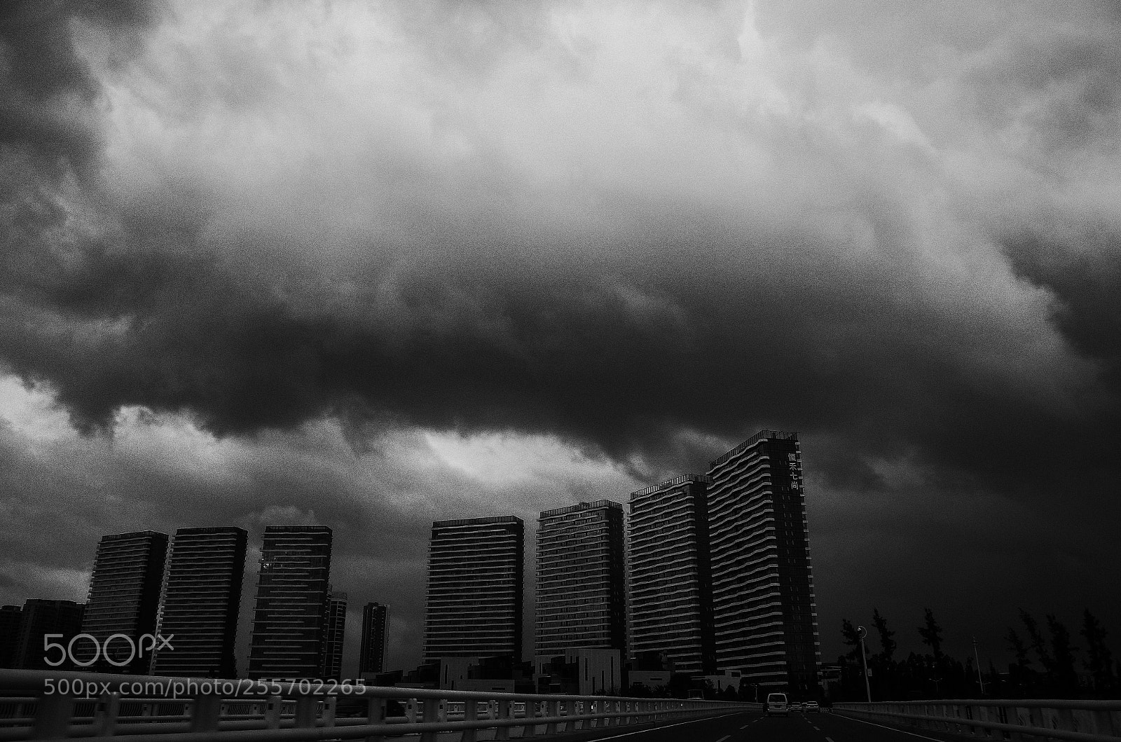Ricoh GR II sample photo. Untitled photography