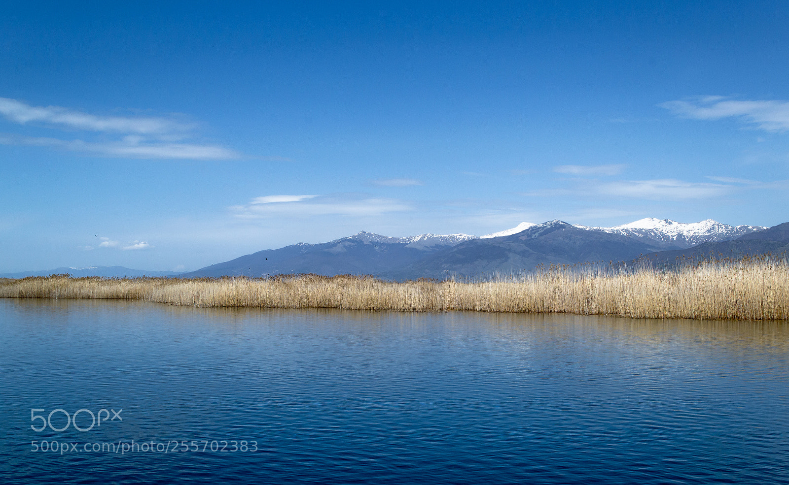 Nikon D3100 sample photo. Mikri prespa canes photography